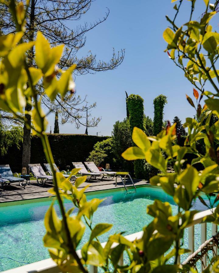 Le Safari Hotel Restaurant Carpentras Eksteriør billede